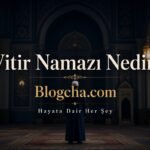 Vitir namazı nedir